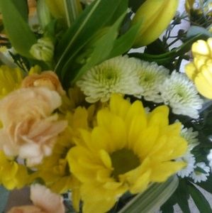 Meet your Posher, Kate